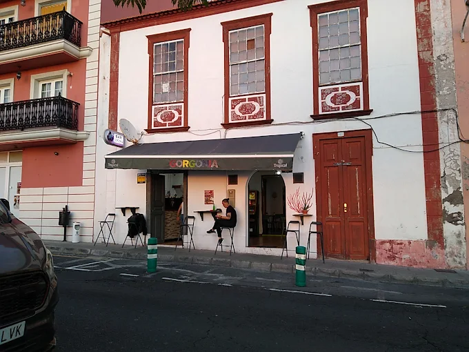 Bar Gorgonia