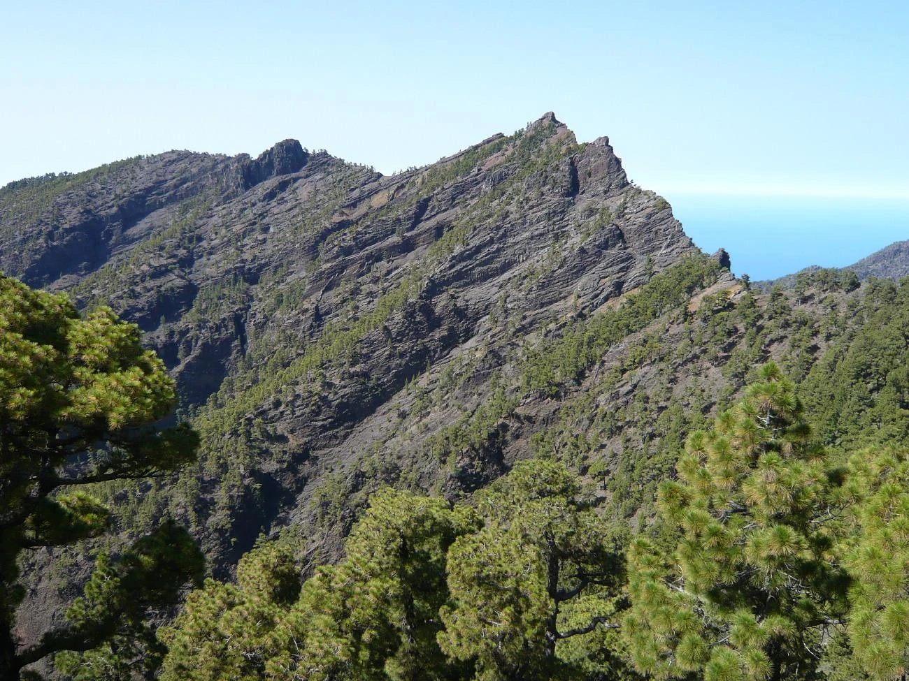 Sendero GR-131 (El Bastón)